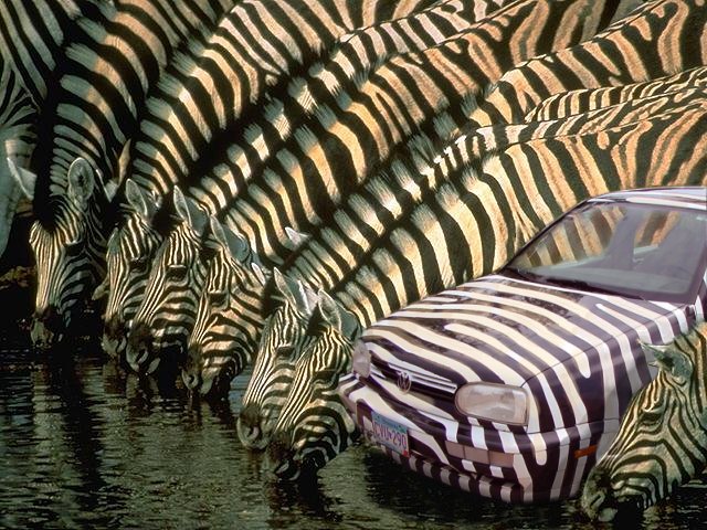 Photoshop-Design von Garsaelon für DesignCrowd (Community Contests) | Design #9121787