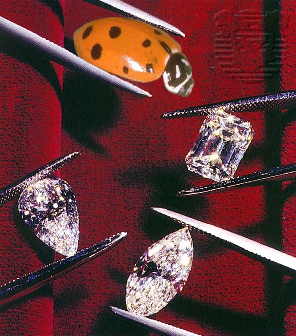 Diseño de Photoshop por TimeTraveler para DesignCrowd (Community Contests) | Diseño #9121833