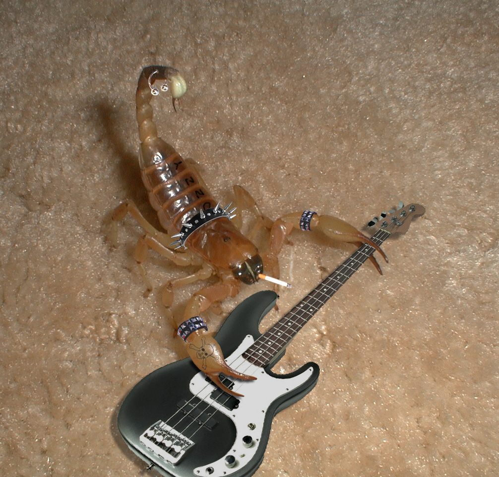 Diseño de Photoshop por DreemReeper para DesignCrowd (Community Contests) | Diseño #9111850