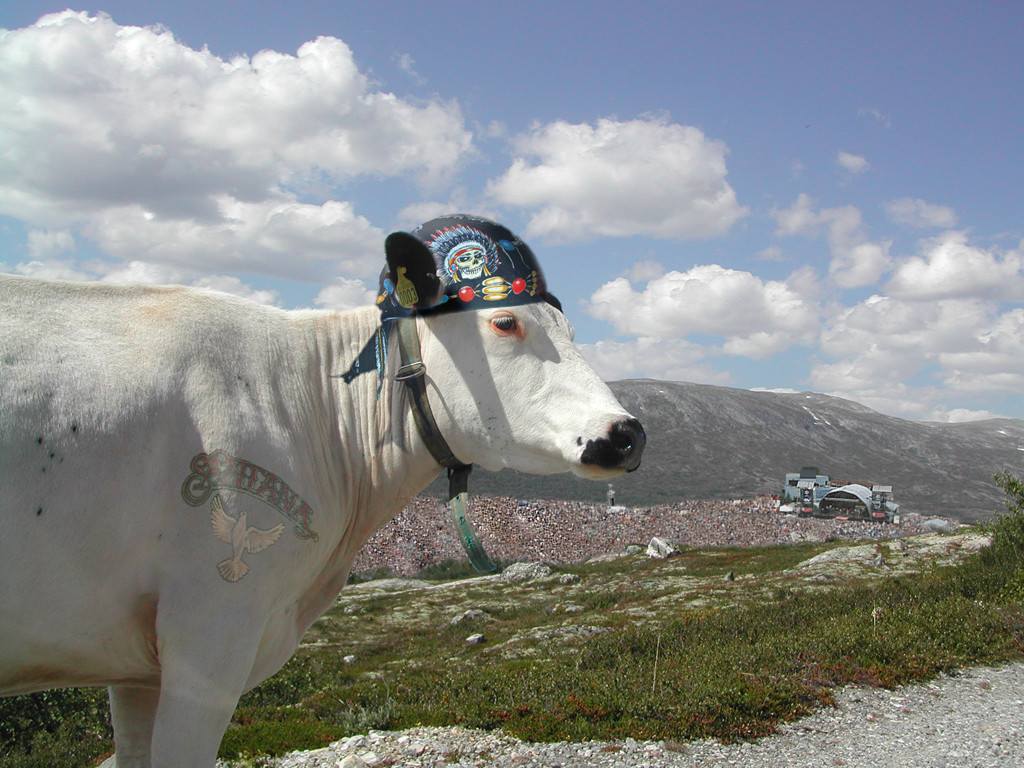 Diseño de Photoshop por Torique para DesignCrowd (Community Contests) | Diseño #9111903