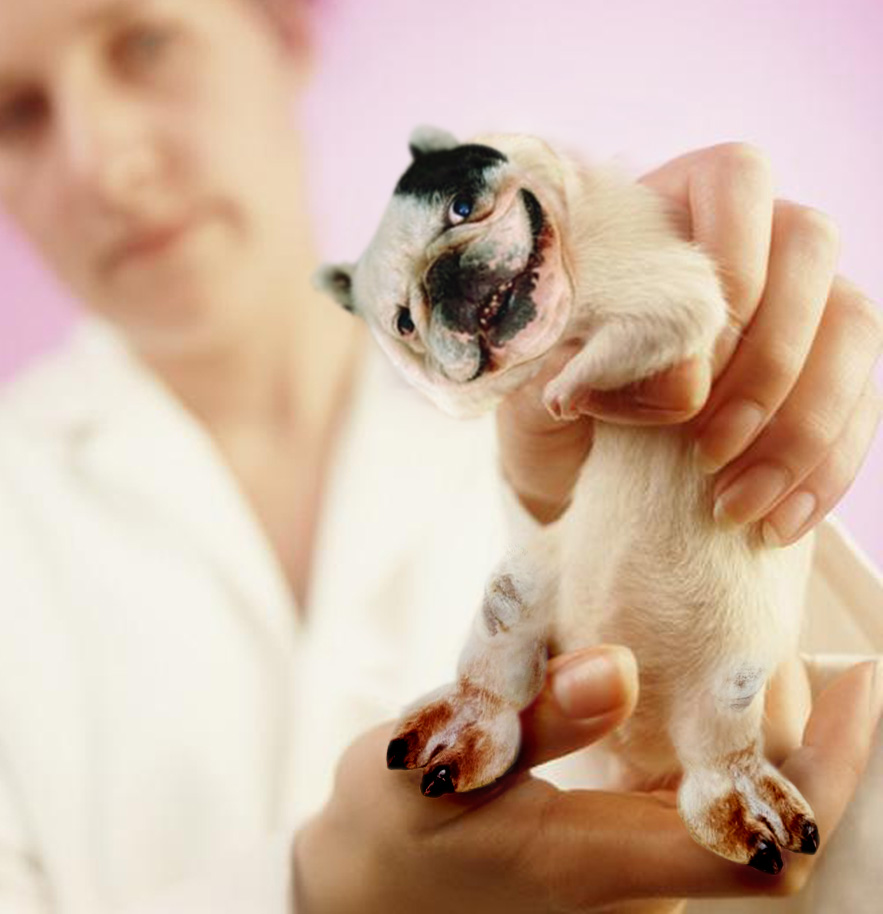 Photoshop Design by blueorb for DesignCrowd (Community Contests) | Design #9135250