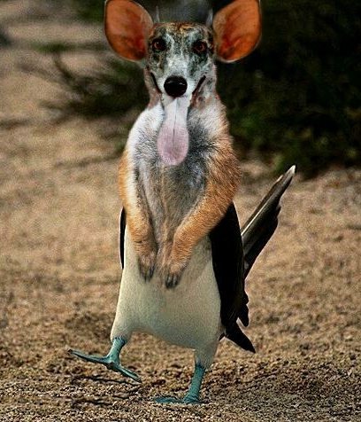 Diseño de Photoshop por froodleydoo para DesignCrowd (Community Contests) | Diseño #9135278