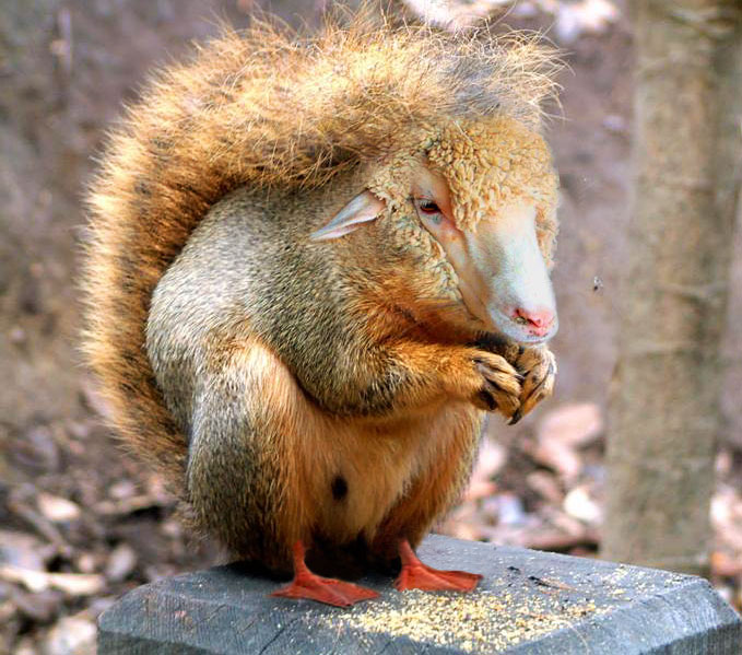 Photoshop Design by Clementine for DesignCrowd (Community Contests) | Design #9135273