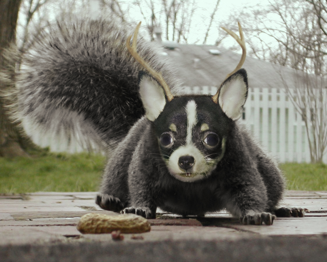 Design Photoshop par hesredbird pour DesignCrowd (Community Contests) | Design #9135314