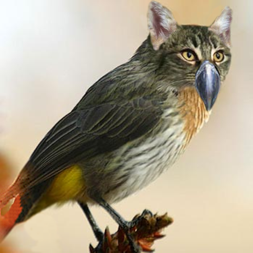 Diseño de Photoshop por couznig para DesignCrowd (Community Contests) | Diseño #9135377