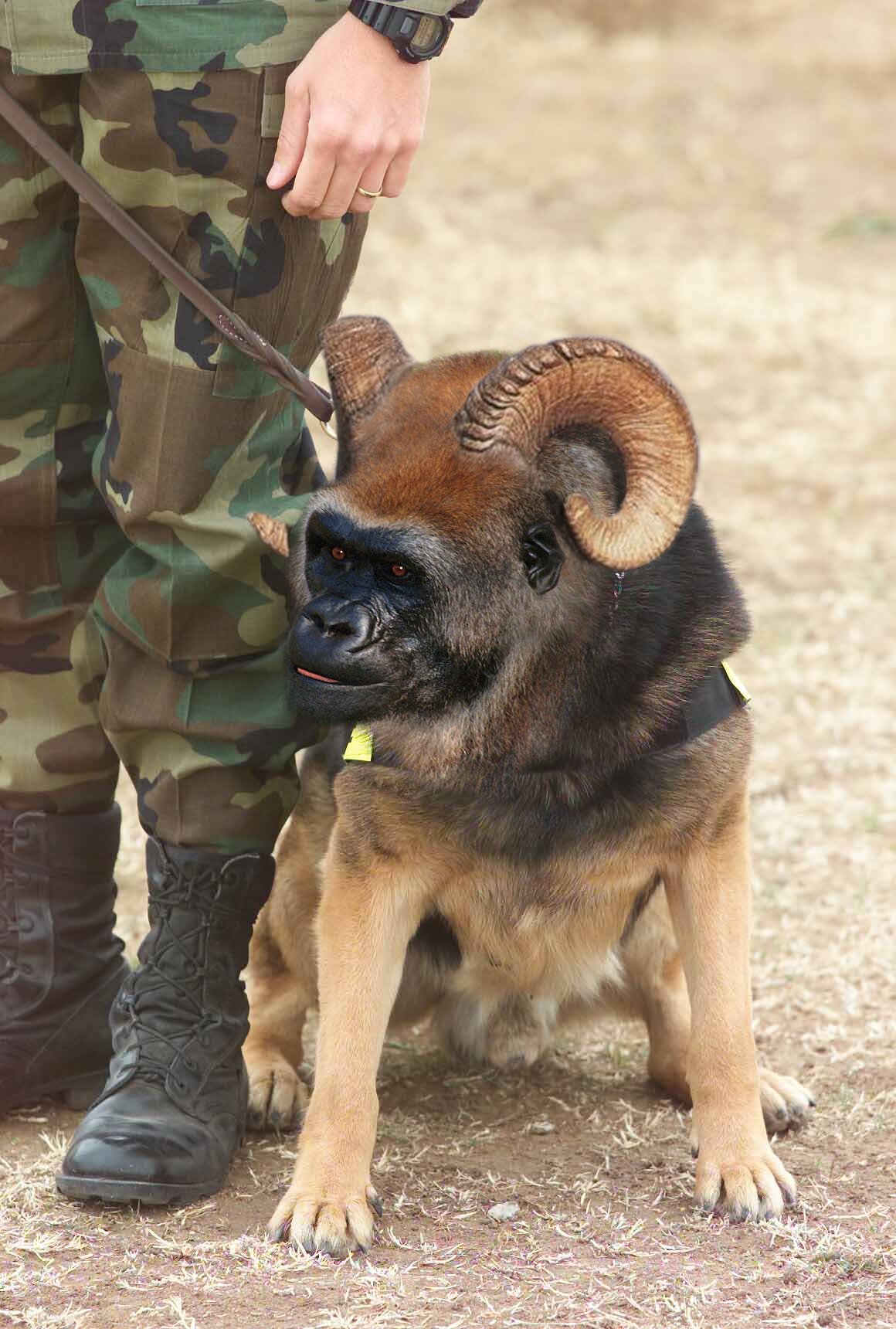 Photoshop-Design von Garsaelon für DesignCrowd (Community Contests) | Design #9135327