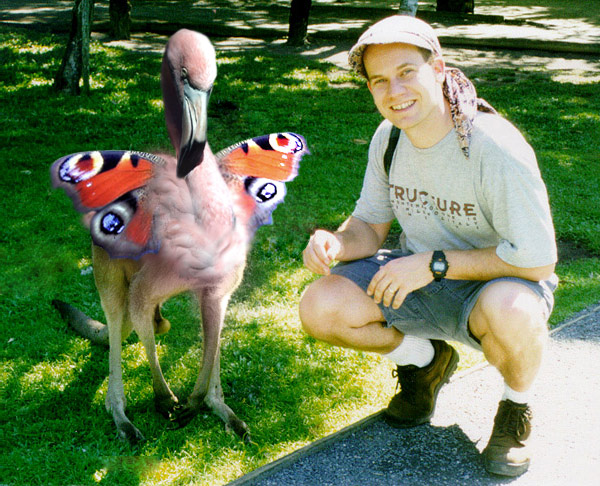 Photoshop Design by yiddle for DesignCrowd (Community Contests) | Design #9135380