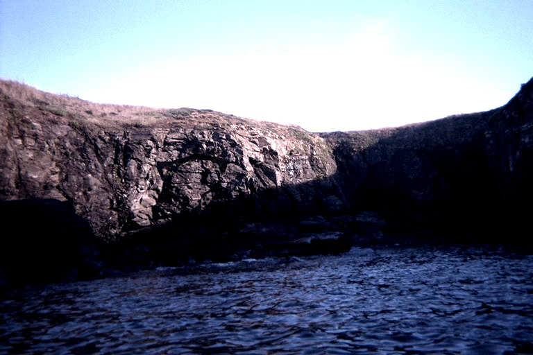 Photoshop Design by Pavel_87_BANNED for DesignCrowd (Community Contests) | Design #9109791