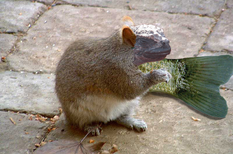 Photoshop Design by bruceleroy for DesignCrowd (Community Contests) | Design #9135372