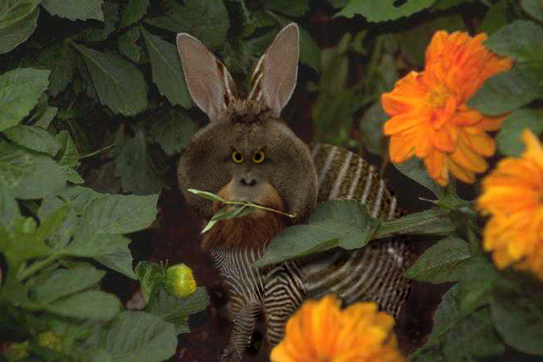 Diseño de Photoshop por OneHappyFemale para DesignCrowd (Community Contests) | Diseño #9135400