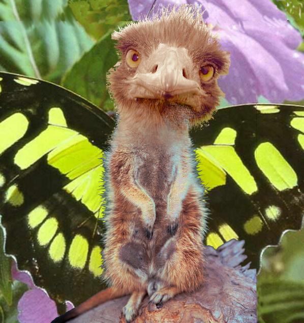 Photoshop Design by McGroobler for DesignCrowd (Community Contests) | Design #9135492