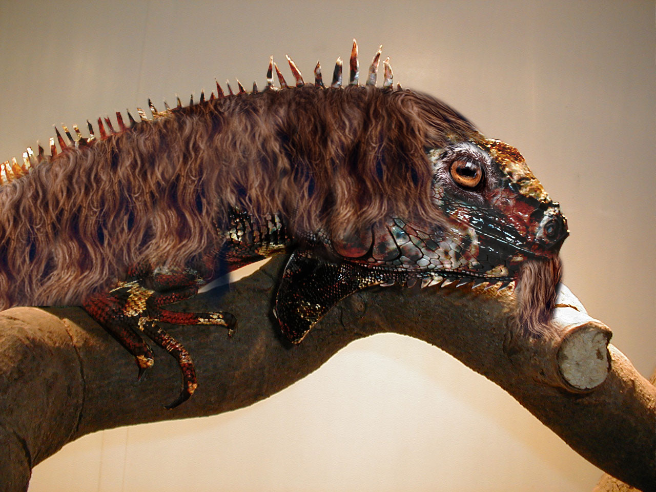 Photoshop Design by Dunga2_BANNED for DesignCrowd (Community Contests) | Design #9135465