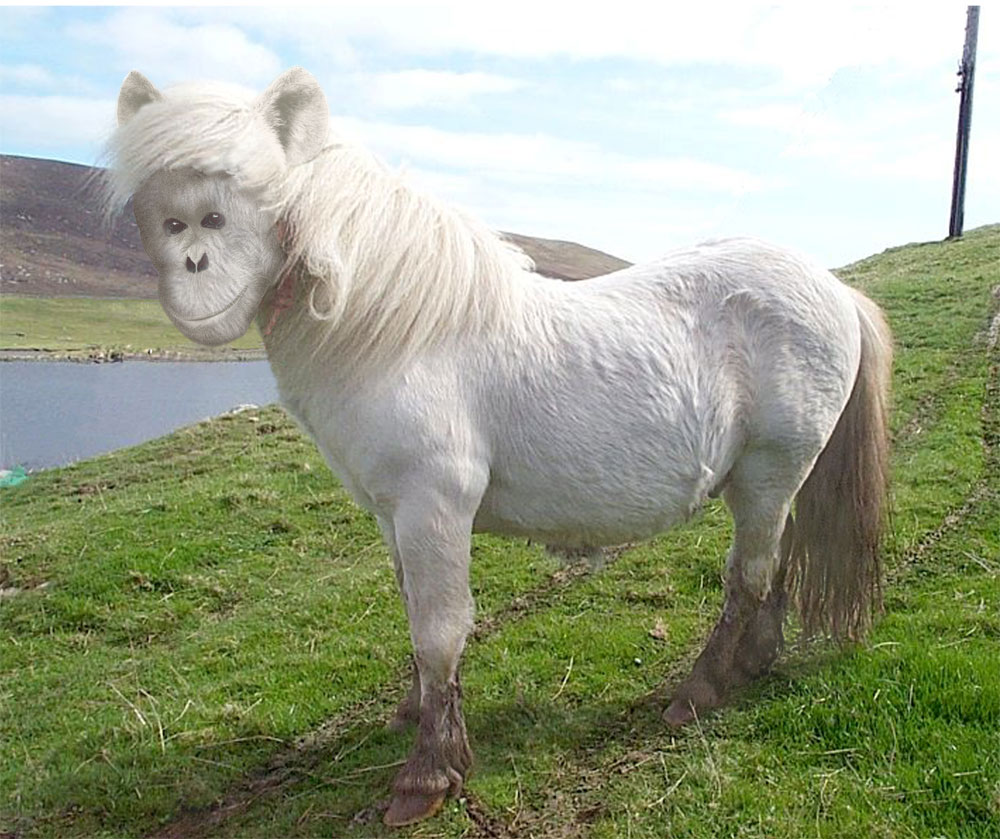 Photoshop Design by digsRus for DesignCrowd (Community Contests) | Design #9135474