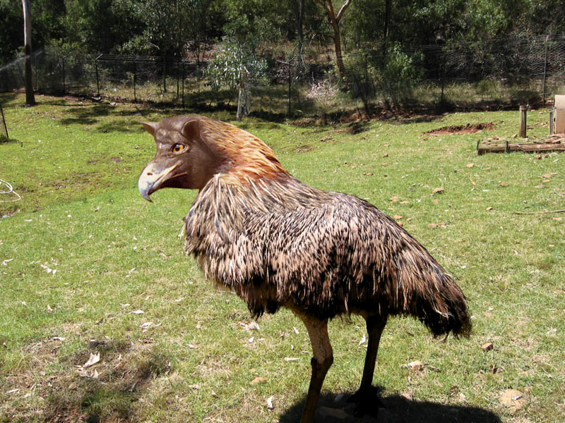 Photoshop Design by Redstar for DesignCrowd (Community Contests) | Design #9135409