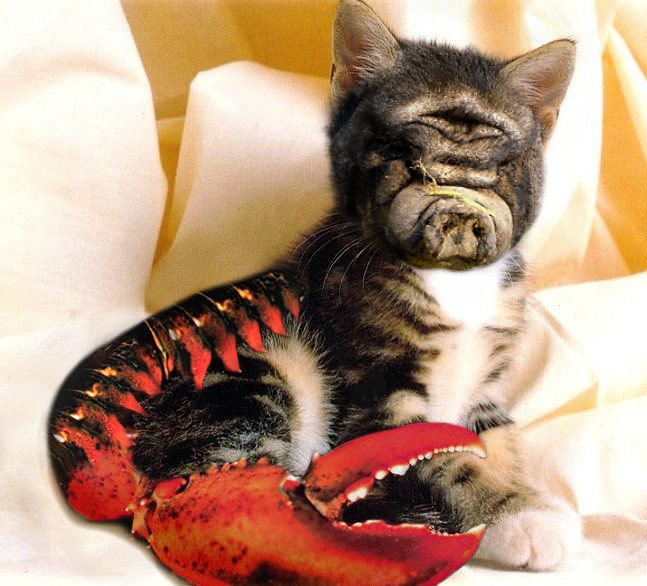 Design Photoshop par bloodygrape pour DesignCrowd (Community Contests) | Design #9135514