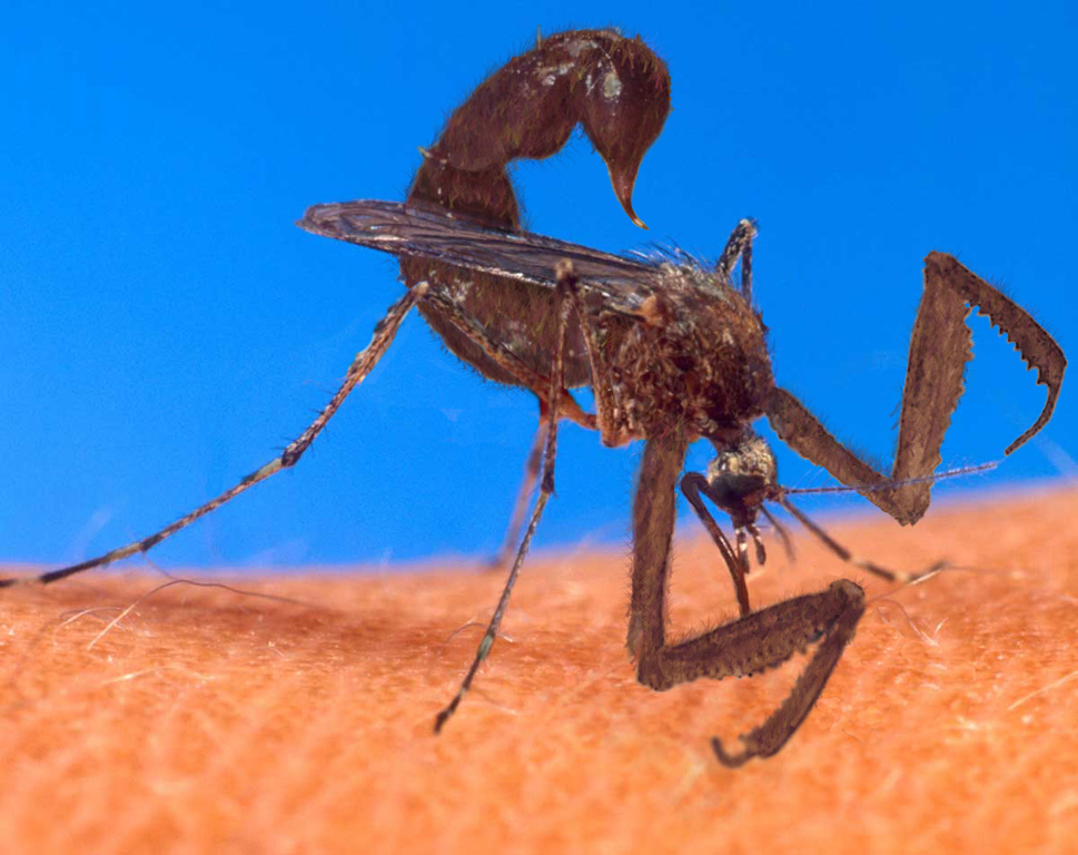 Diseño de Photoshop por Vortex para DesignCrowd (Community Contests) | Diseño #9135412