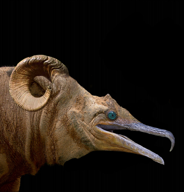 Photoshop Design by Trit for DesignCrowd (Community Contests) | Design #9135453