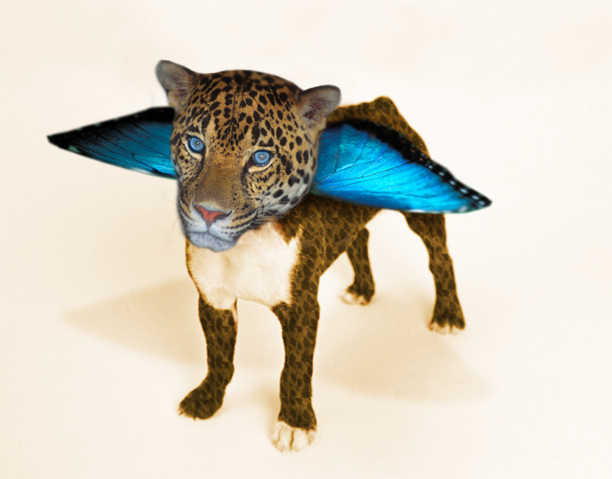 Diseño de Photoshop por TahiaDesign para DesignCrowd (Community Contests) | Diseño #9135483