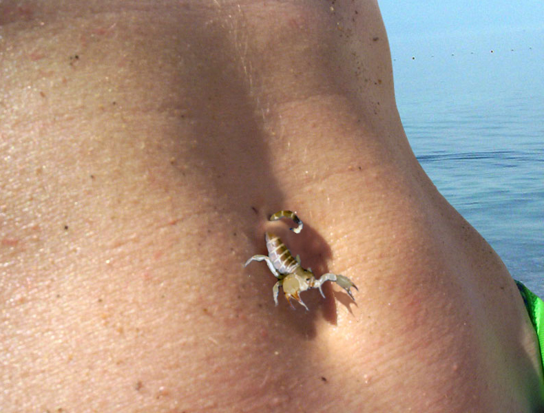 Diseño de Photoshop por thetop para DesignCrowd (Community Contests) | Diseño #9137434