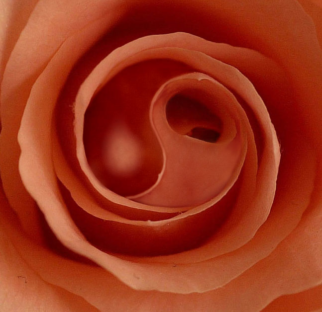 Design Photoshop par MPolgara pour DesignCrowd (Community Contests) | Design #9109826