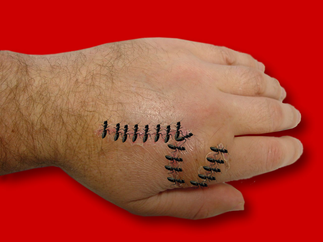 Photoshop-Design von callahank für DesignCrowd (Community Contests) | Design #9137500