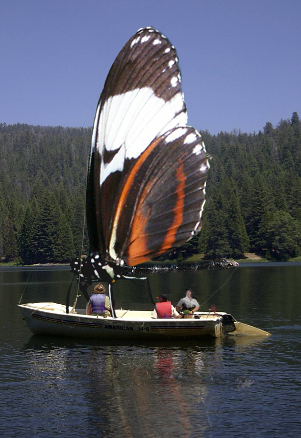 Photoshop-Design von hesredbird für DesignCrowd (Community Contests) | Design #9137527