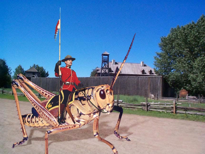 Photoshop Design by DakotaBoy88 for DesignCrowd (Community Contests) | Design #9137535