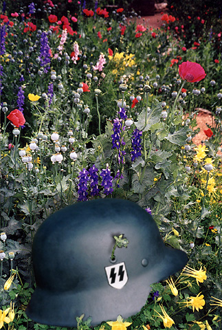 Photoshop Design by dangergrrlie for DesignCrowd (Community Contests) | Design #9134903