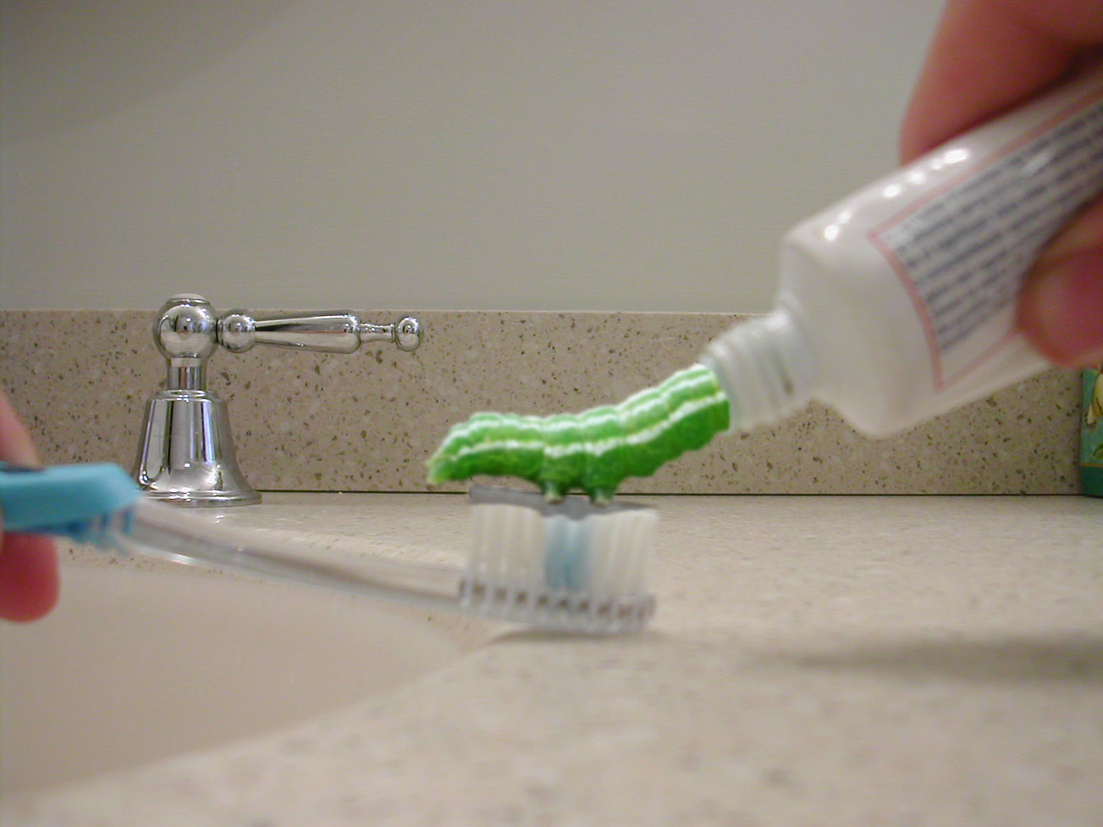 Photoshop Design by AlexL2003 for DesignCrowd (Community Contests) | Design #9137596