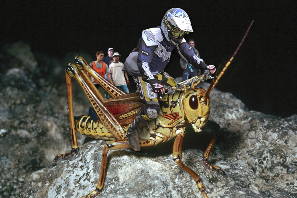 Photoshop Design by nixArt for DesignCrowd (Community Contests) | Design #9137666