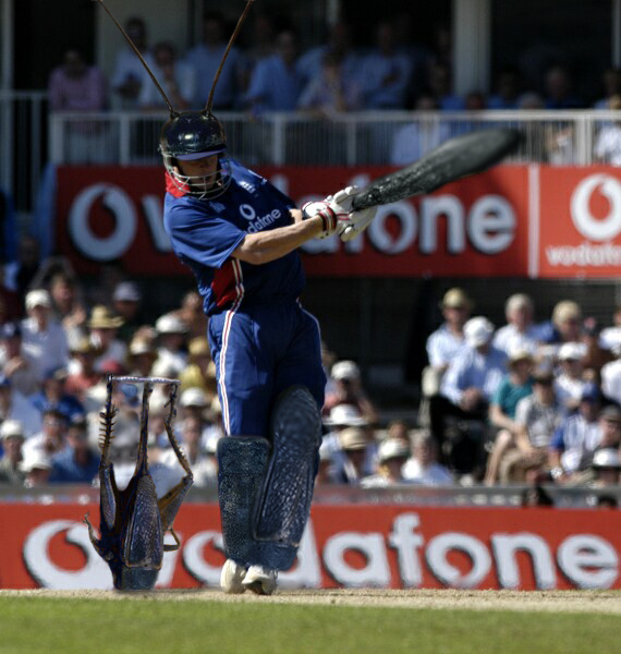 Diseño de Photoshop por Vortex para DesignCrowd (Community Contests) | Diseño #9137588