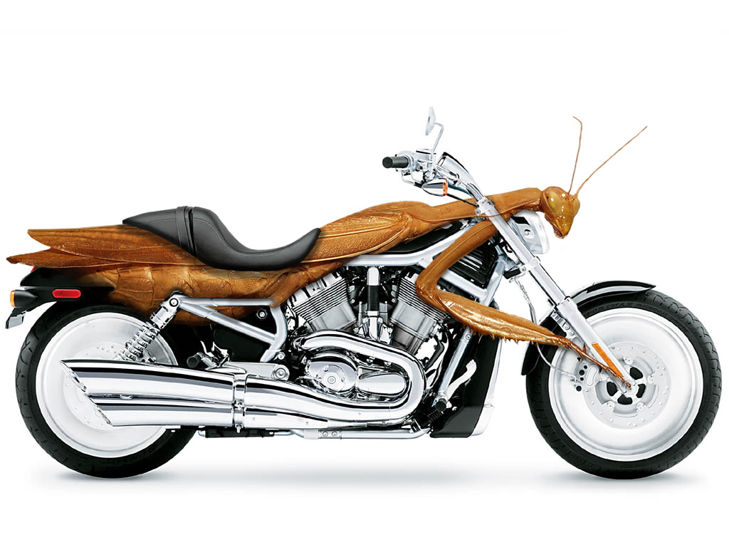 Photoshop Design by Trit for DesignCrowd (Community Contests) | Design #9137609