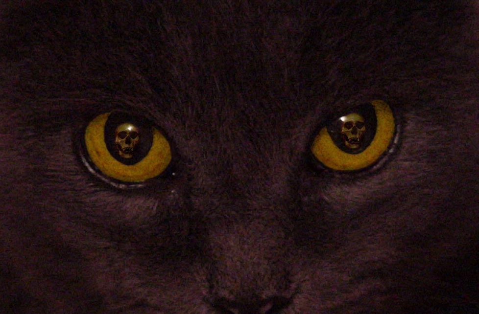 Photography by Stimpy for DesignCrowd (Community Contests) | Design #9135464