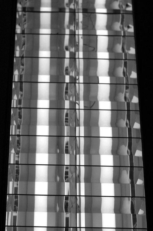 Photography by bostrom155 for DesignCrowd (Community Contests) | Design #9108307