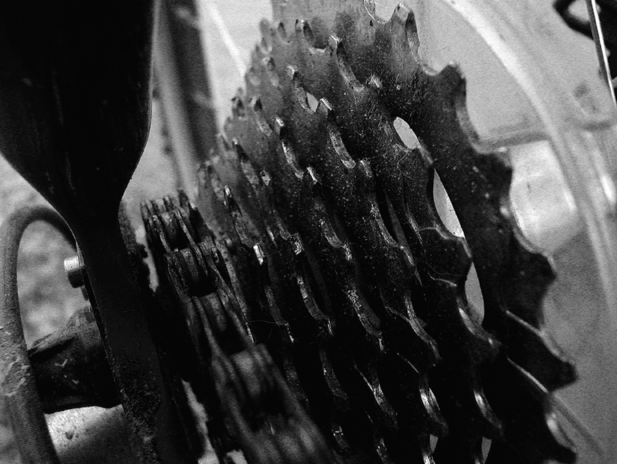 Photography by fearscythe for DesignCrowd (Community Contests) | Design #9108290