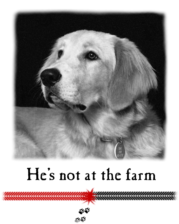 Photoshop-Design von Powerstreak für DesignCrowd (Community Contests) | Design #9130714