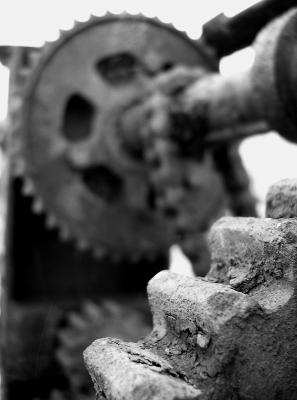 Photographie par Trinity-of-One pour DesignCrowd (Community Contests) | Design #9108338