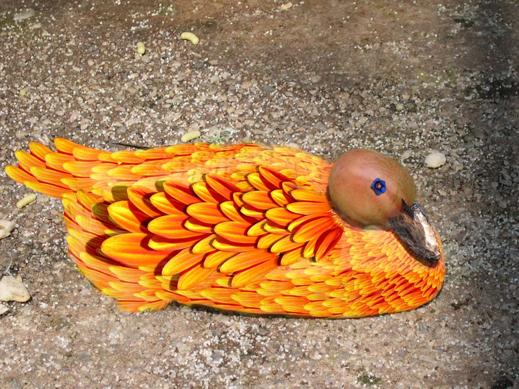 Photoshop Design by chaky for DesignCrowd (Community Contests) | Design #9137334