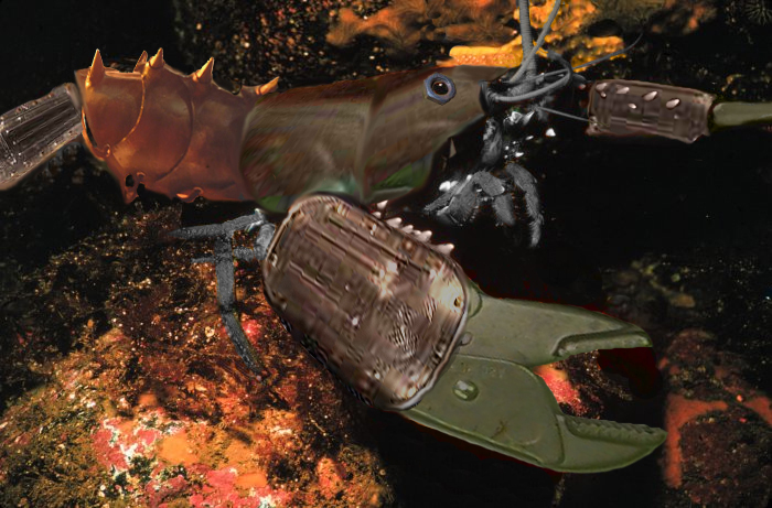 Diseño de Photoshop por bruceleroy para DesignCrowd (Community Contests) | Diseño #9137324