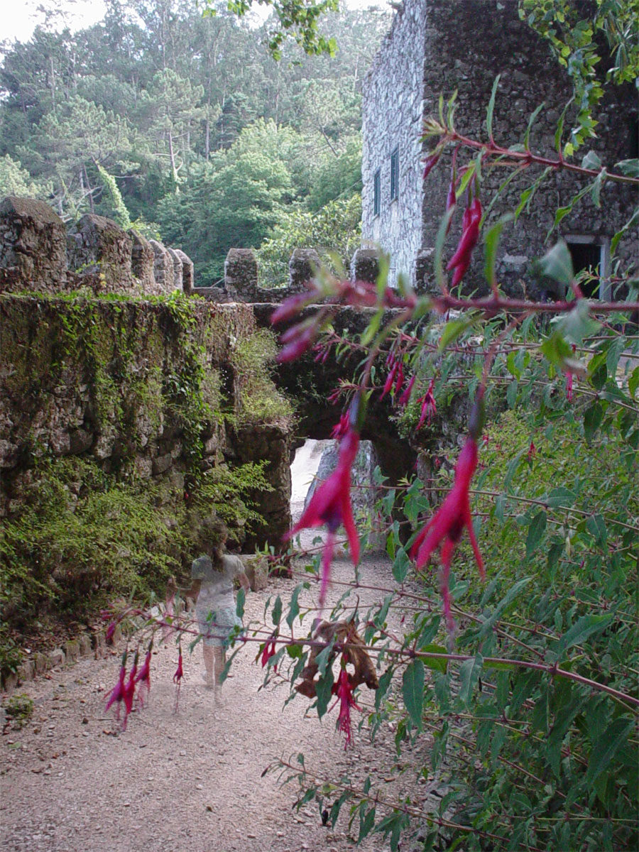 Diseño de Photoshop por Dunga2_BANNED para DesignCrowd (Community Contests) | Diseño #9108899