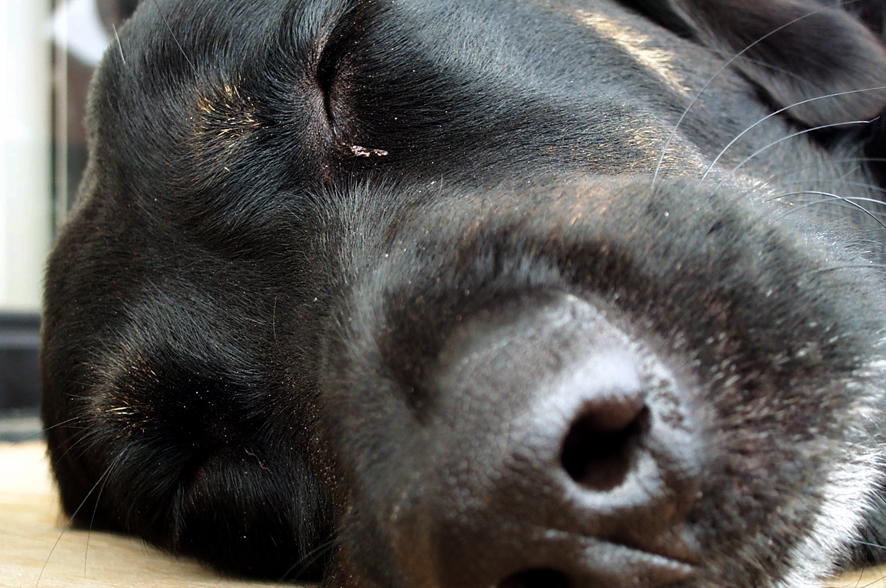 Fotografía por scotty2hotty para DesignCrowd (Community Contests) | Diseño #9134955