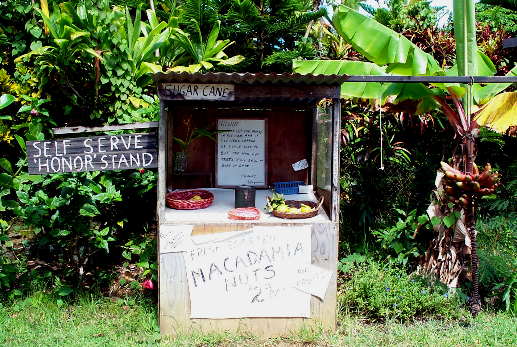 Fotografía por scotty2hotty para DesignCrowd (Community Contests) | Diseño #9121449