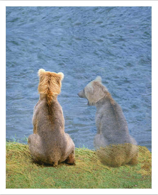 Photoshop Design by vipez for DesignCrowd (Community Contests) | Design #9108970