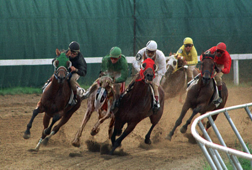 Diseño de Photoshop por Crumbles para DesignCrowd (Community Contests) | Diseño #9143226