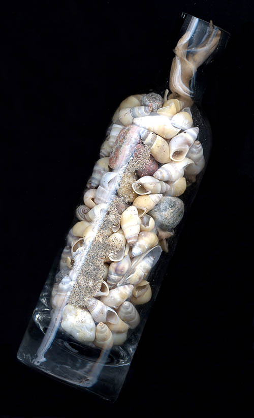 Photography by JavaMoose for DesignCrowd (Community Contests) | Design #9135046