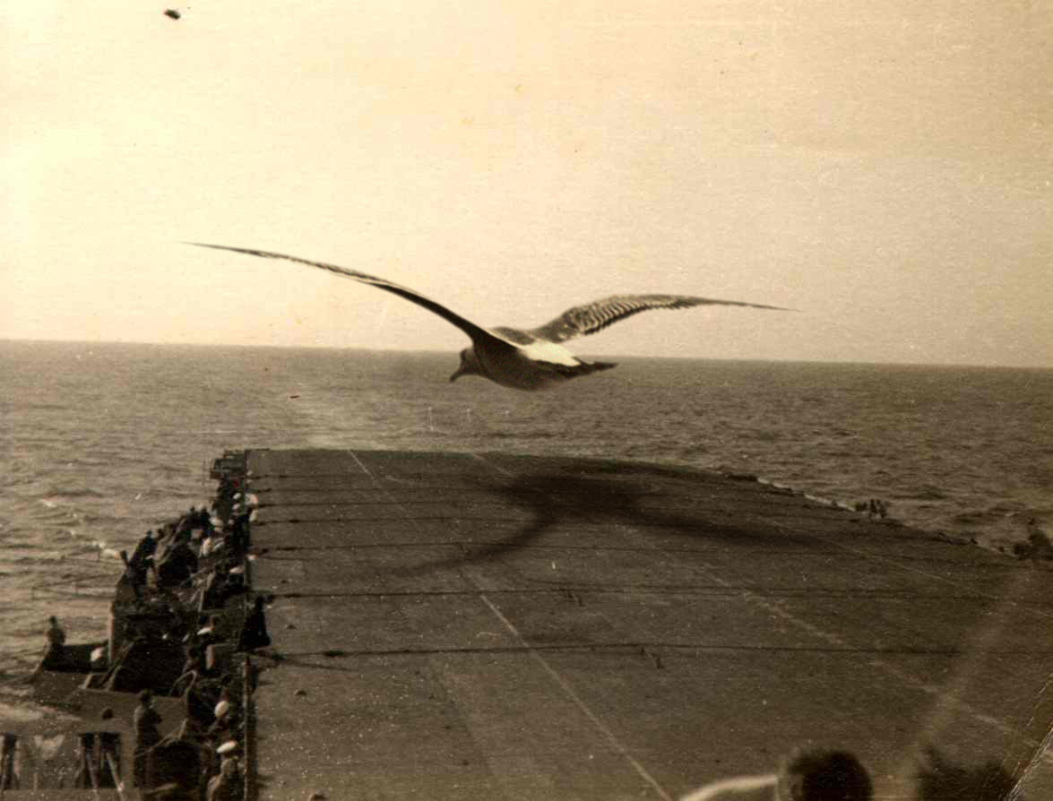 Design Photoshop par grafix pour DesignCrowd (Community Contests) | Design #9143241