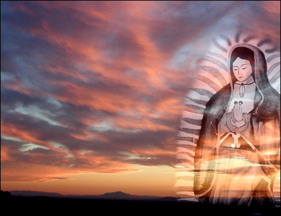 Photography by compugoddess for DesignCrowd (Community Contests) | Design #9135515