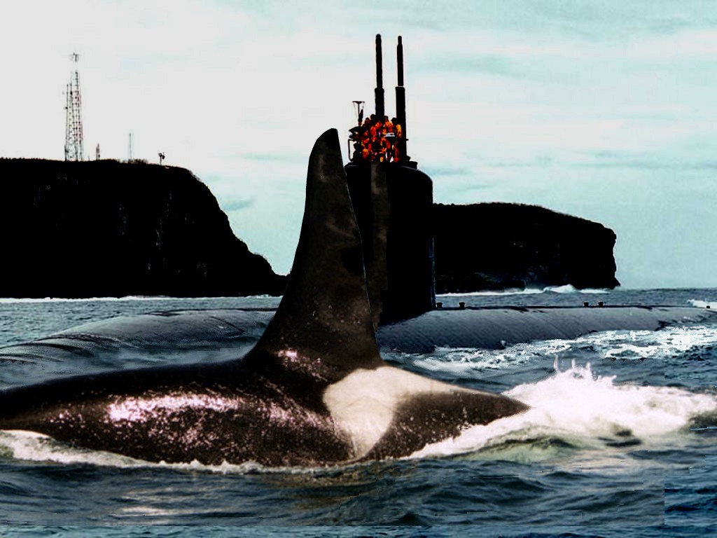 Photoshop Design by justdave for DesignCrowd (Community Contests) | Design #9143284