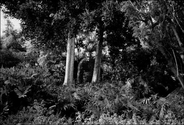 Design Photoshop par Cubasa pour DesignCrowd (Community Contests) | Design #9135592