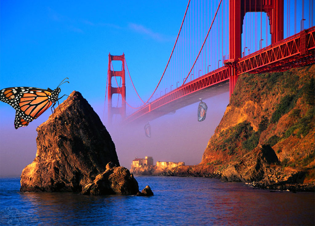 Photoshop Design by mkimble for DesignCrowd (Community Contests) | Design #9143303